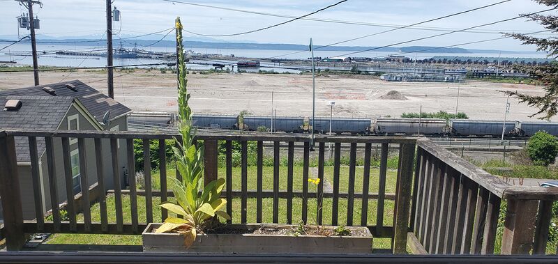 Deck view of Puget Sound from the elevated upper deck